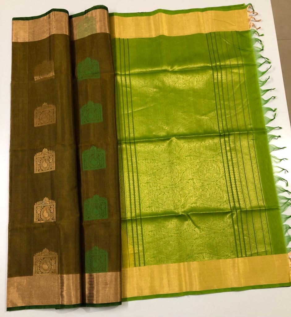 Cedar Brown Color with Olive Green Pallu (SEC/4028)