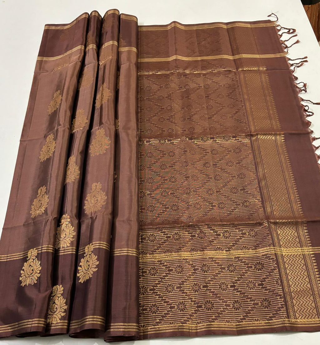 Chocolate Brown with Golden Zari Pallu (STM/3341)